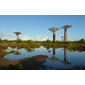 Morondava