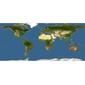 Discover Life: Point Map of Germainia khasiana